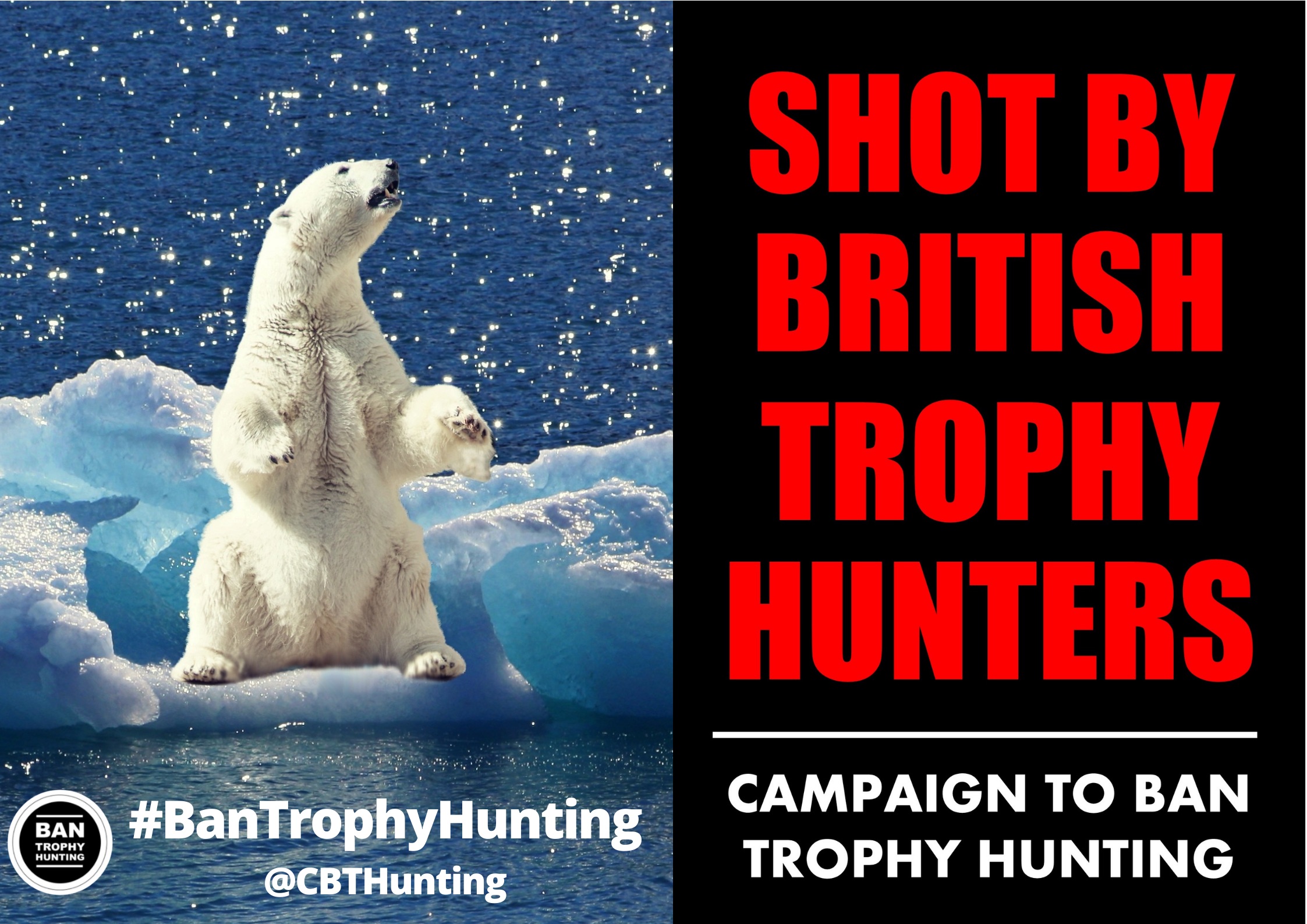 Andrew Rosindell Calls For Immediate Trophy Hunting Ban | Andrew ...